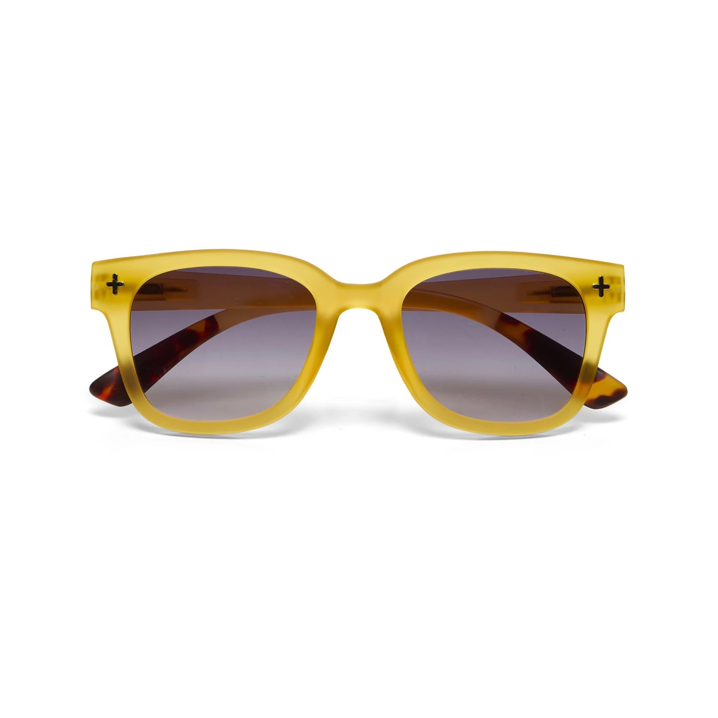 Pre order OCT - Giovanni - THE CLASSIC - 12 Colour options