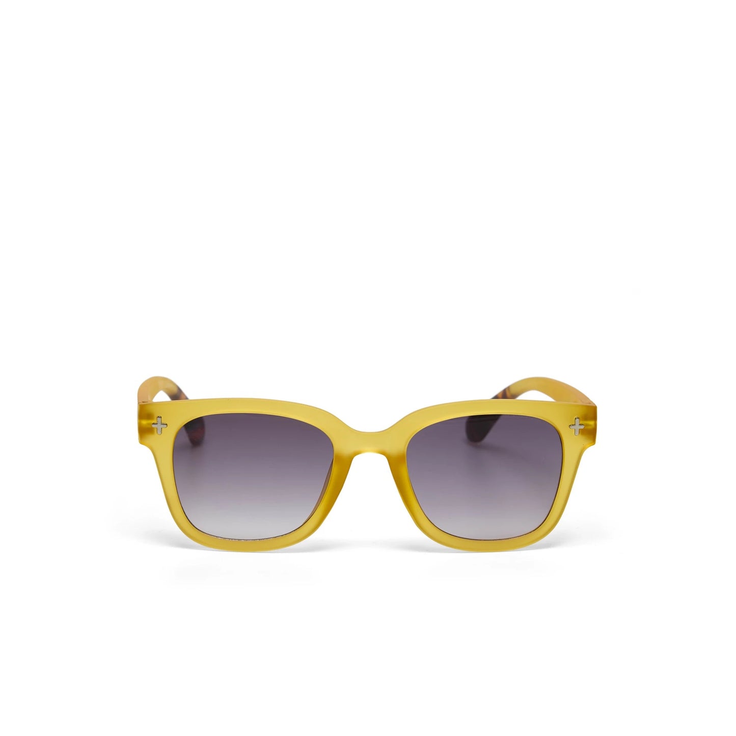 Pre order OCT - Giovanni - THE CLASSIC - 12 Colour options